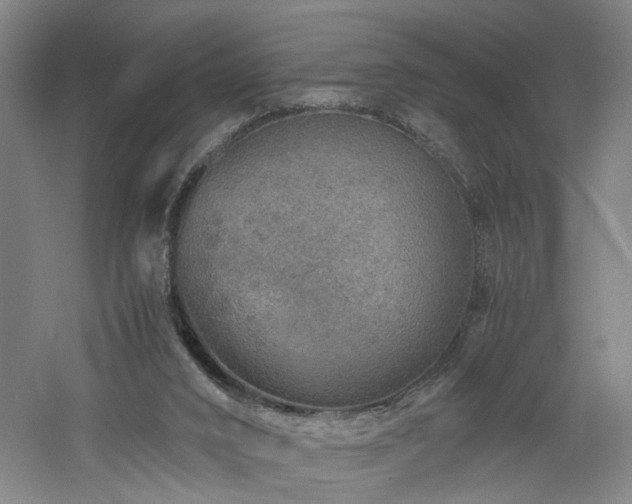 X0000060780016200511101351