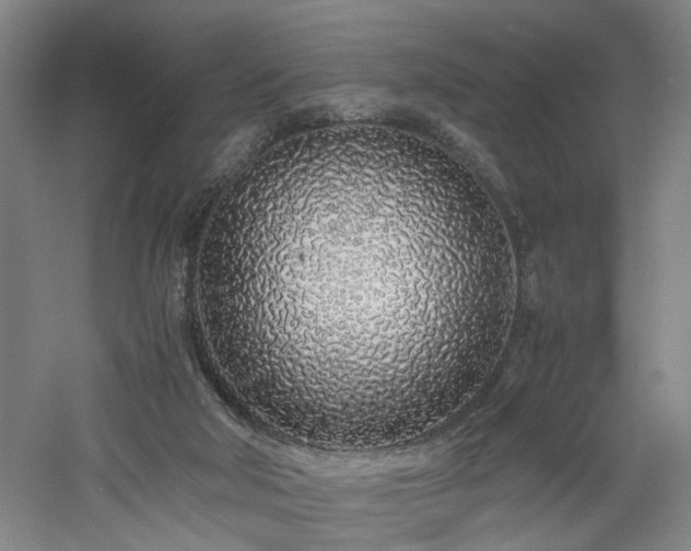 X0000060780018200511101351