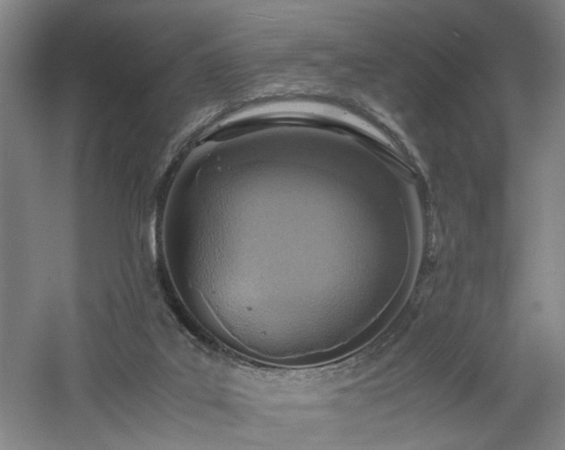 X0000060780019200511101351