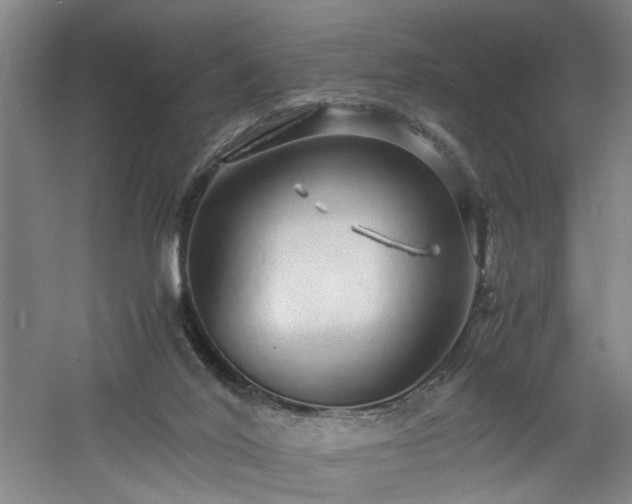 X0000060780020200511101351