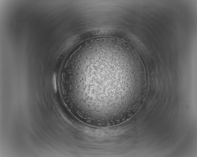 X0000060780022200511101351