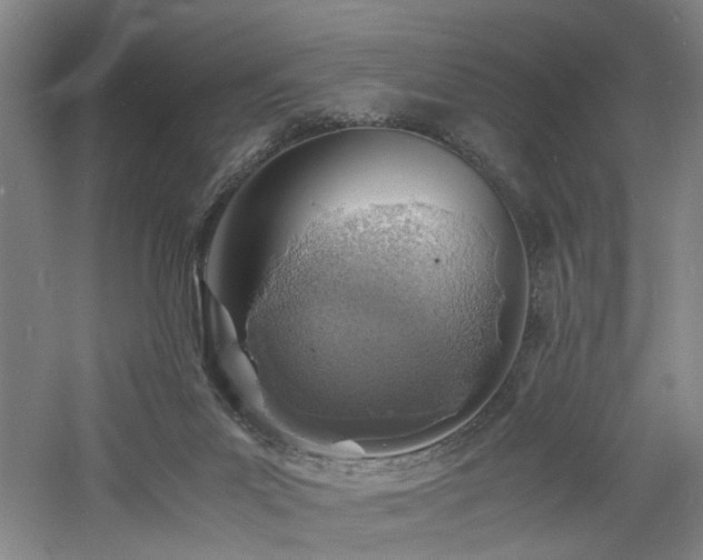 X0000060780023200511101351