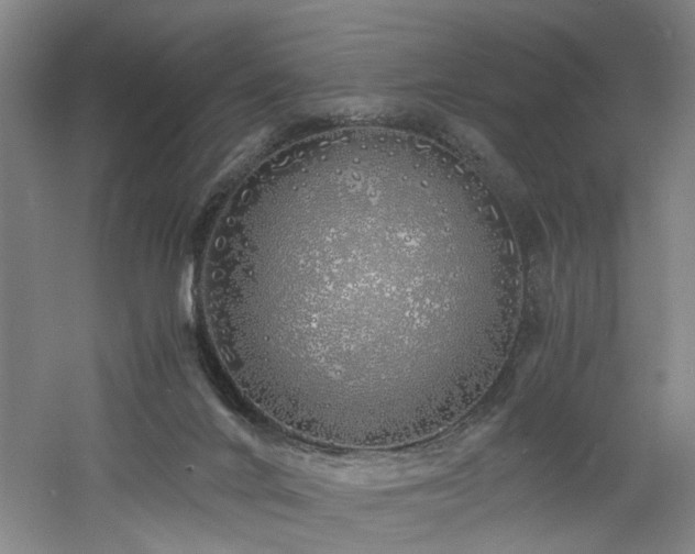 X0000060780024200511101351