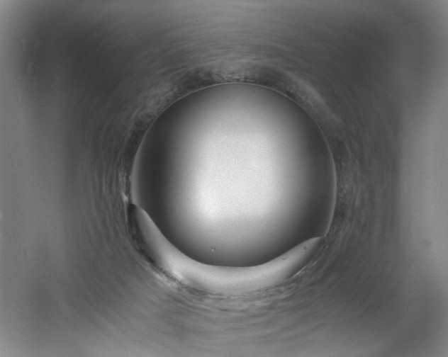 X0000060780025200511101351