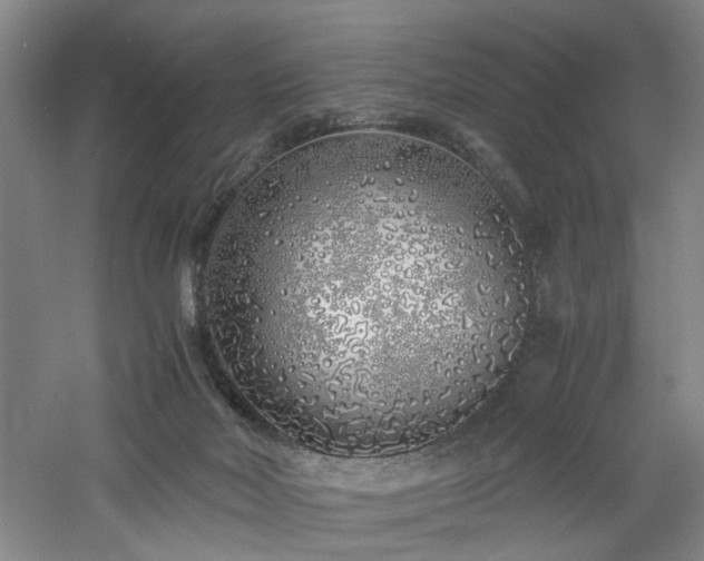 X0000060780026200511101351