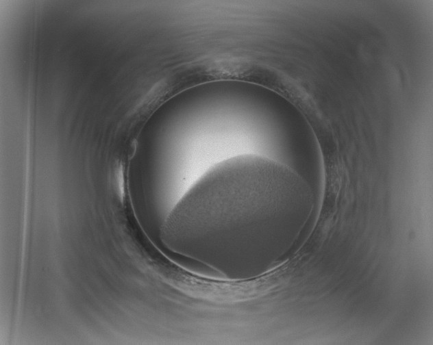 X0000060780027200511101351