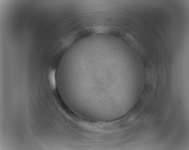 X0000060780028200511101351