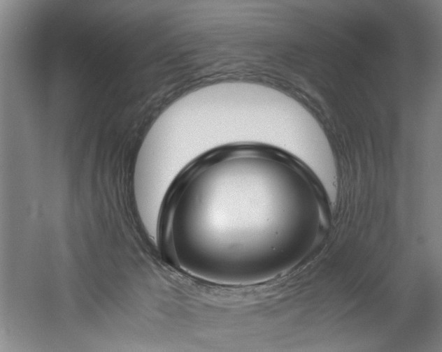 X0000060780029200511101351