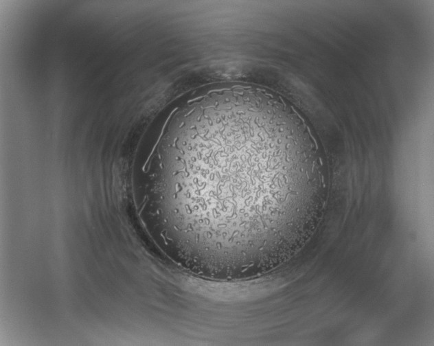 X0000060780030200511101351