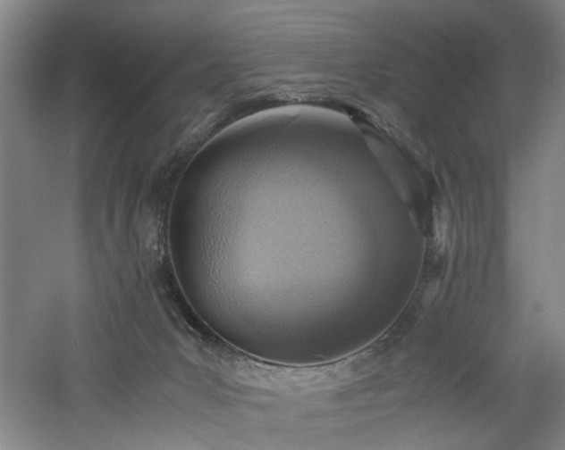 X0000060780031200511101351