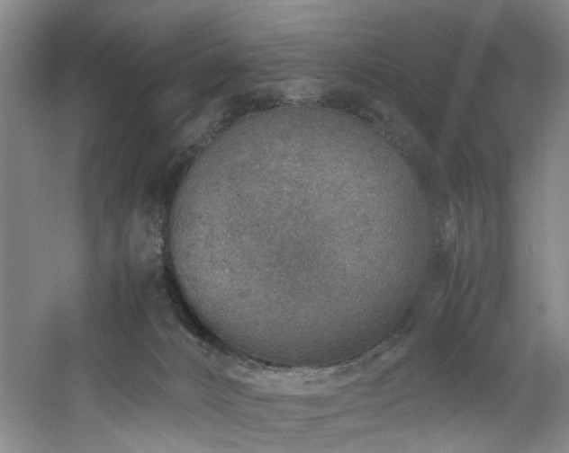 X0000060780032200511101351