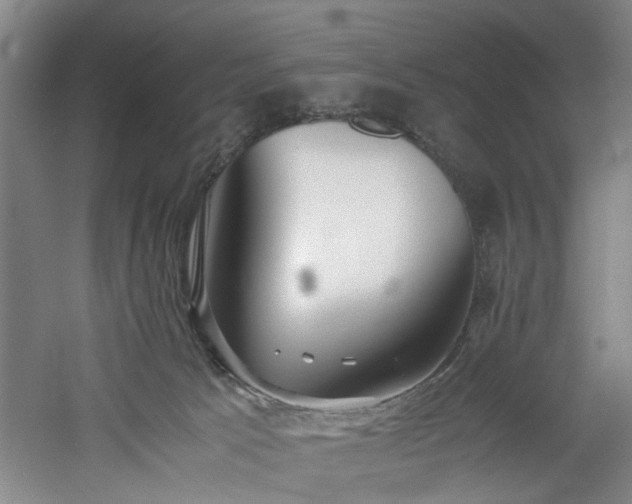 X0000060780033200511101351