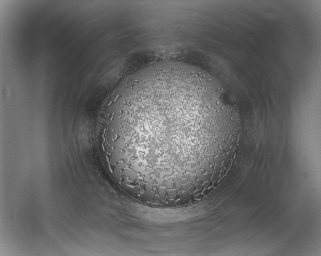 X0000060780034200511101351