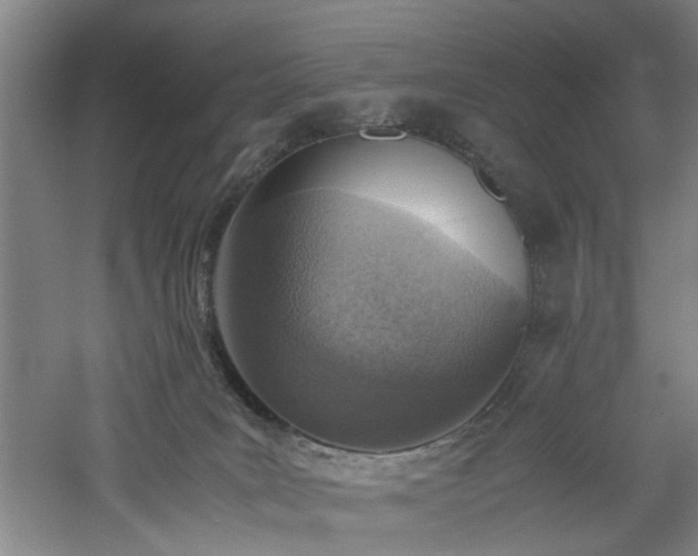 X0000060780035200511101351