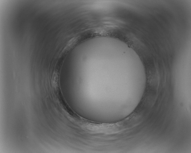 X0000060780036200511101351