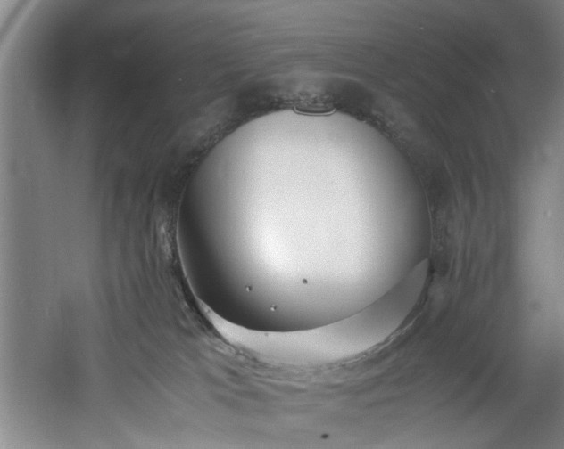 X0000060780037200511101351