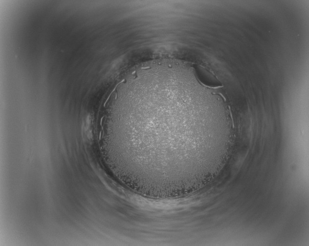 X0000060780038200511101351