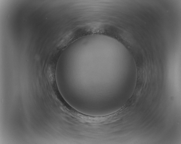 X0000060780039200511101351