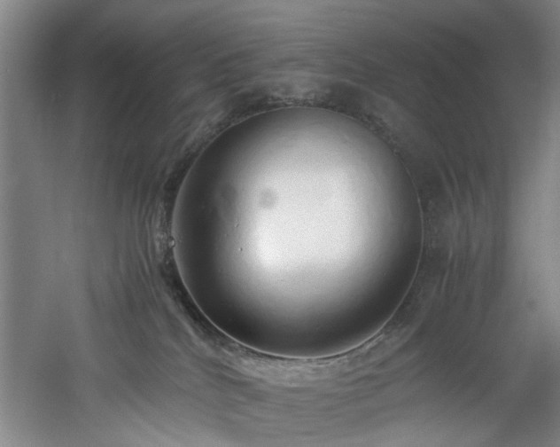 X0000060780040200511101351