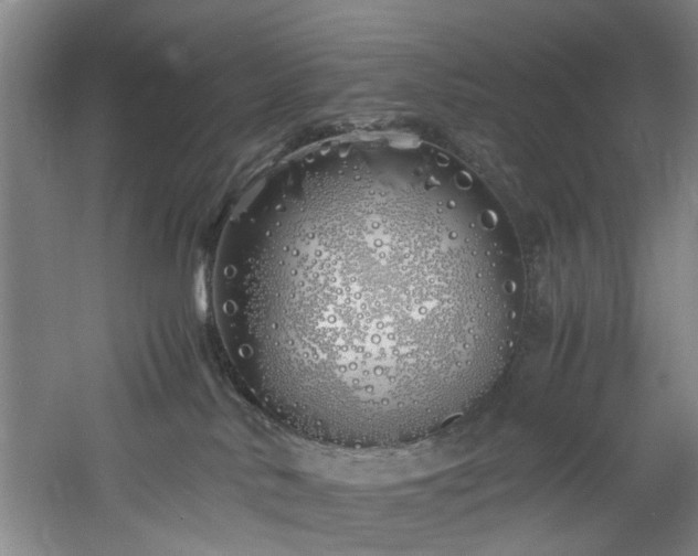 X0000060780042200511101351