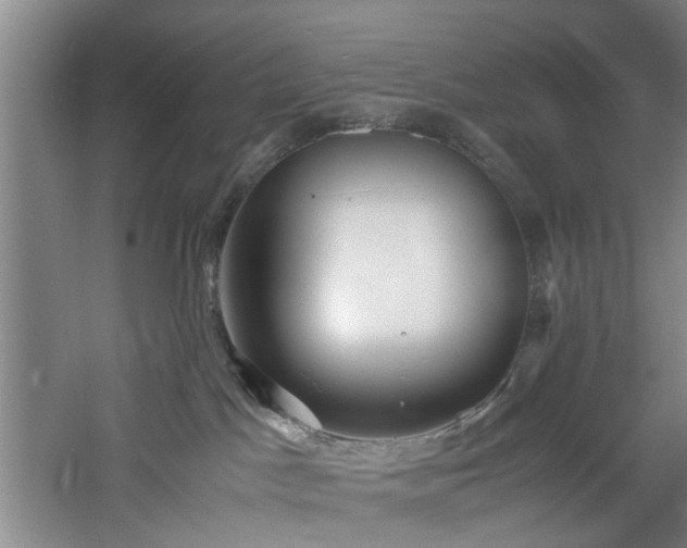 X0000060780045200511101351