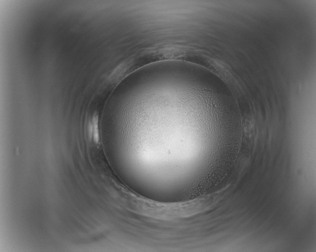 X0000060780046200511101351