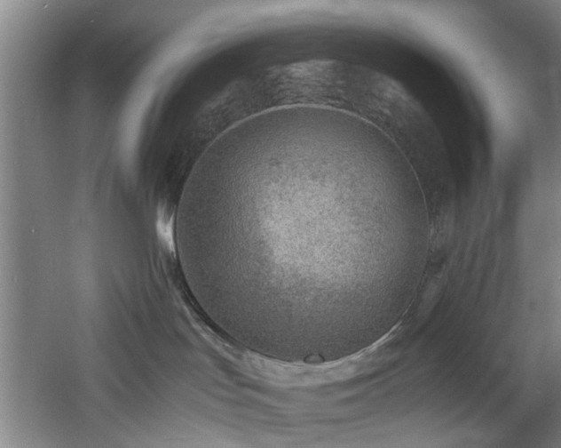 X0000060780047200511101351