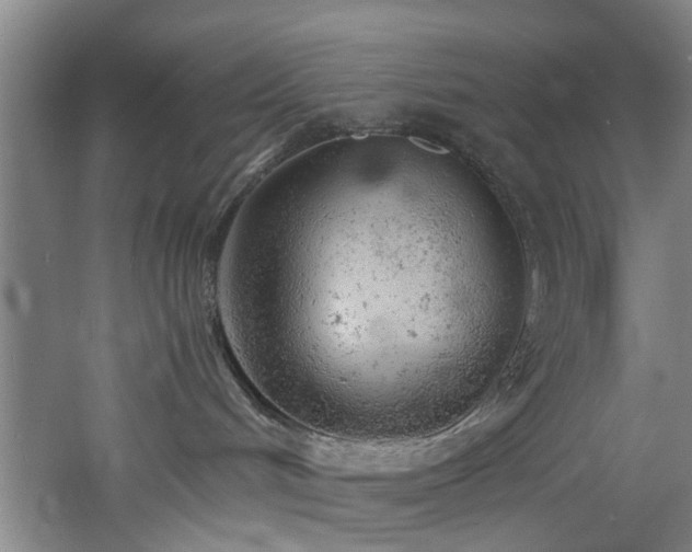 X0000060780048200511101351