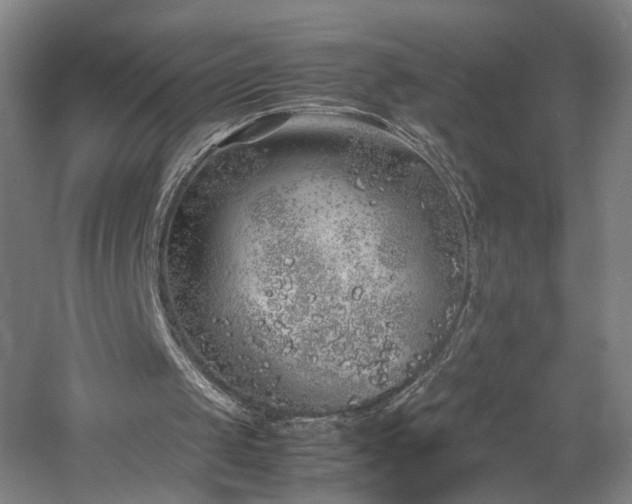 X0000060780049200511101350