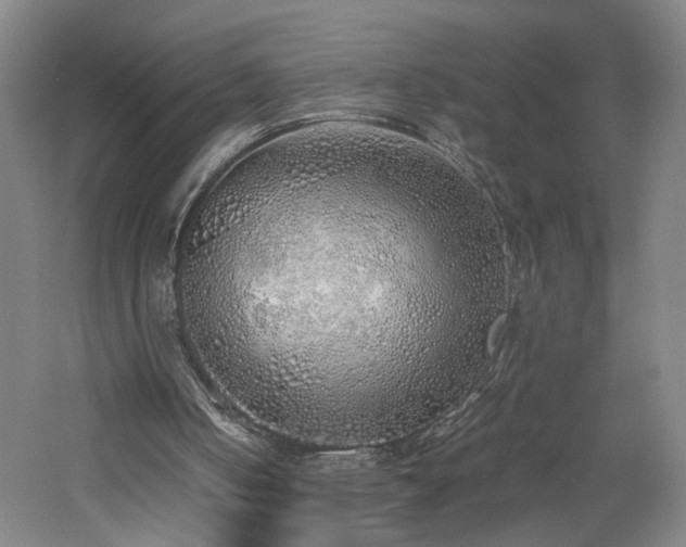 X0000060780050200511101350