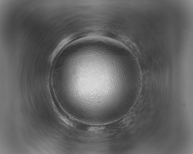 X0000060780051200511101350