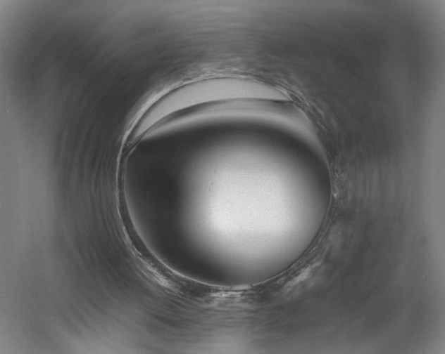 X0000060780052200511101350