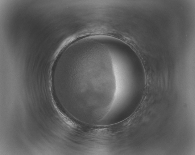 X0000060780054200511101350