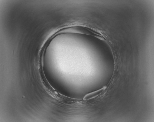 X0000060780056200511101350