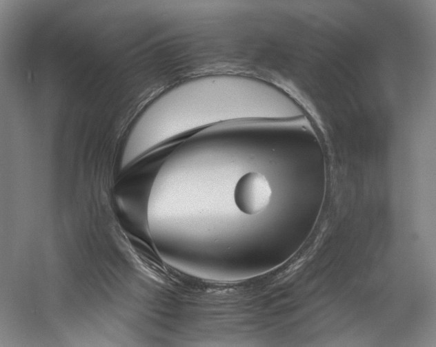 X0000060780057200511101350