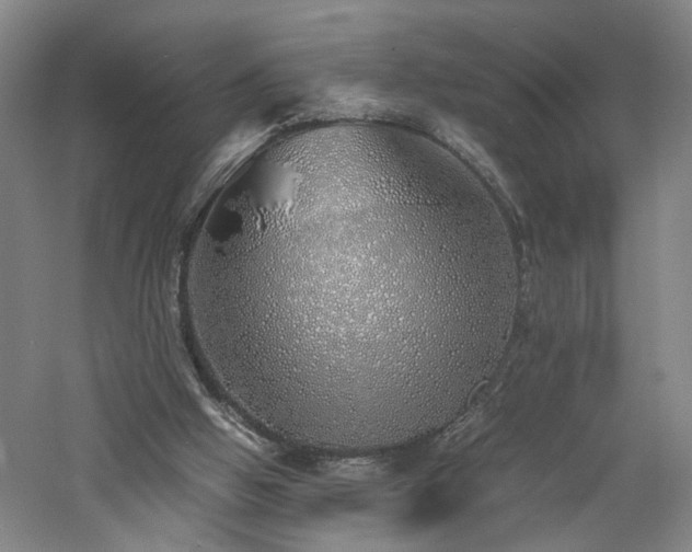 X0000060780058200511101350