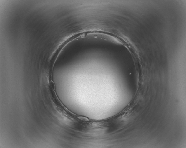 X0000060780060200511101350