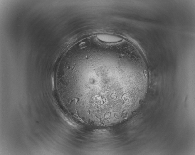 X0000060780061200511101350