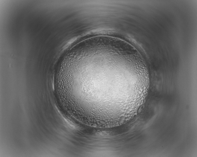 X0000060780062200511101350