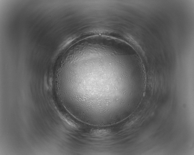 X0000060780063200511101350