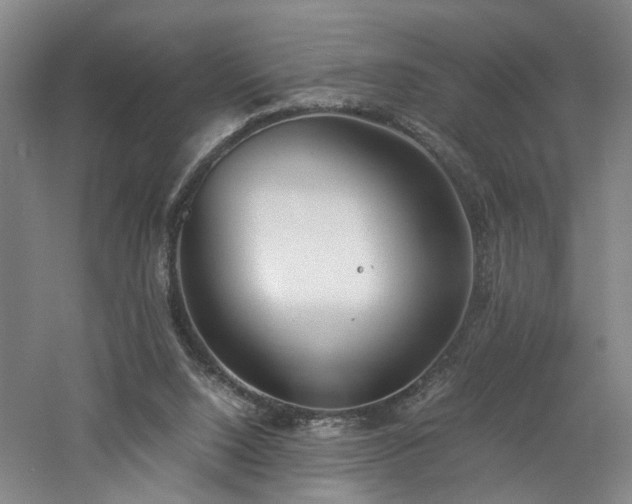 X0000060780064200511101350