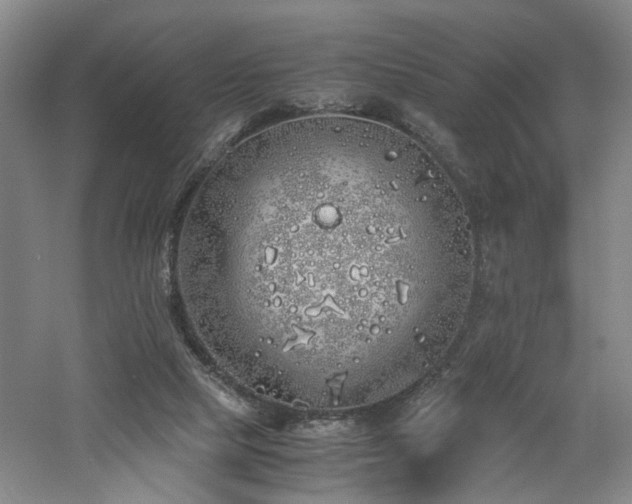 X0000060780065200511101350