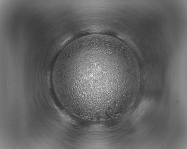 X0000060780066200511101350