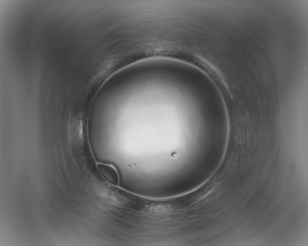 X0000060780067200511101350