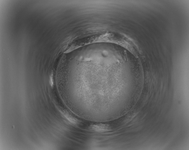 X0000060780069200511101350