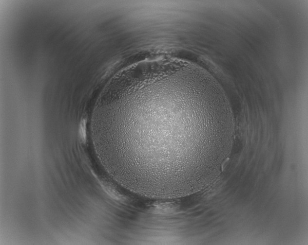 X0000060780070200511101350