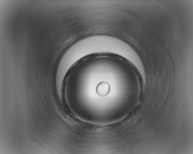 X0000060780072200511101350