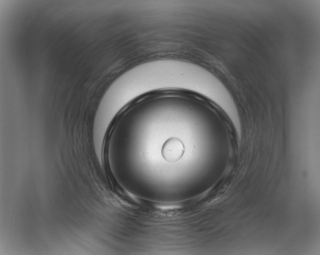 X0000060780073200511101350