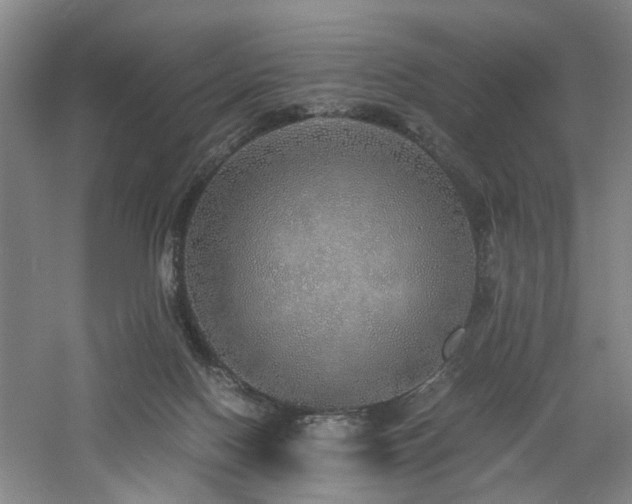 X0000060780074200511101350