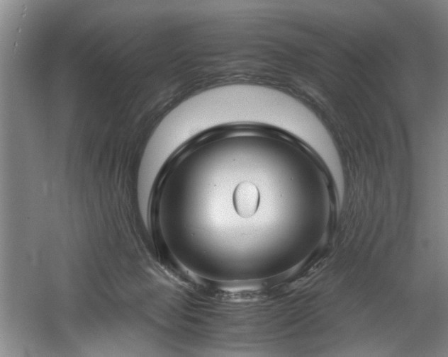 X0000060780077200511101351